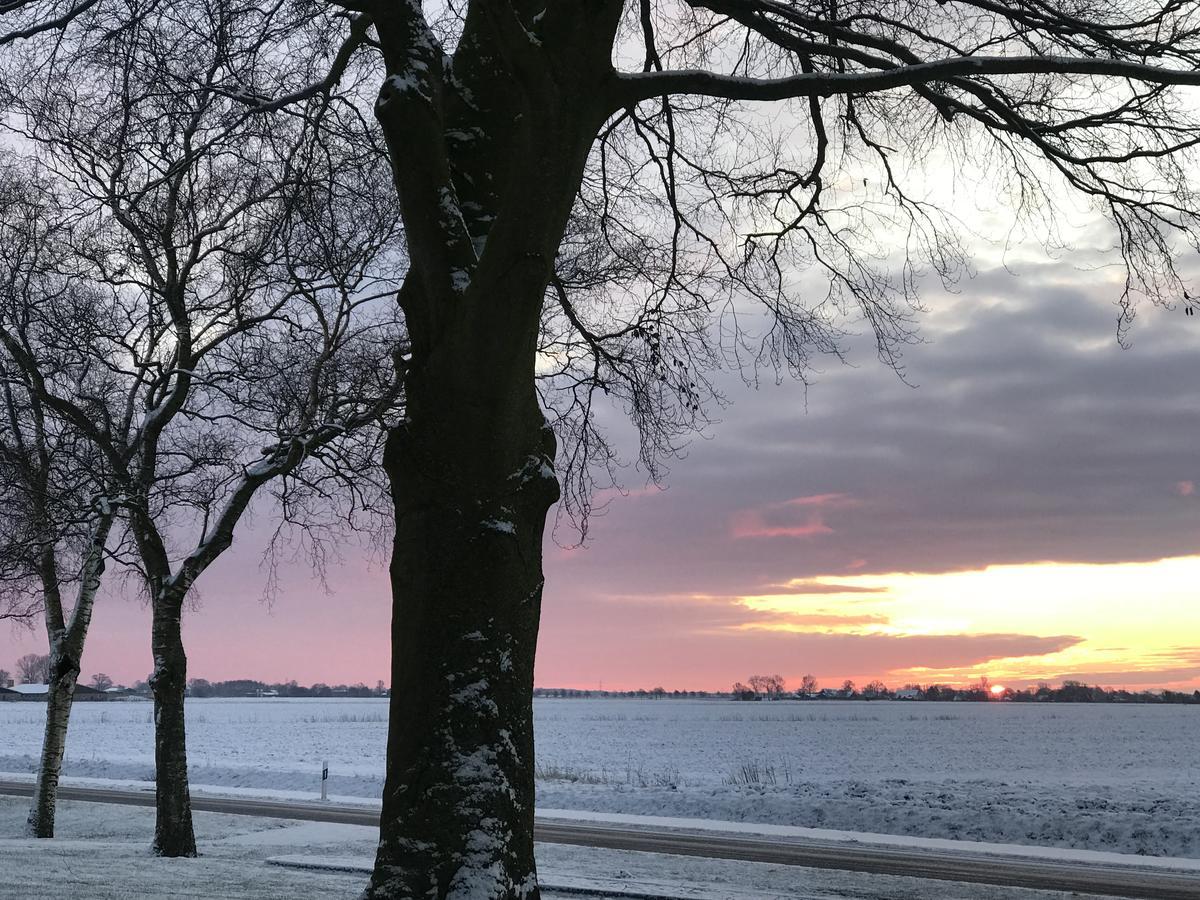 Elbe Ferienwohnung Gluckstadt Kültér fotó